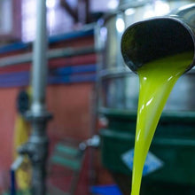 Freshly pressed olive oil